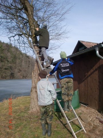 Nistkasten 030312 (67)